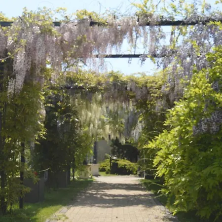 Hotel Venecia Palace 3*